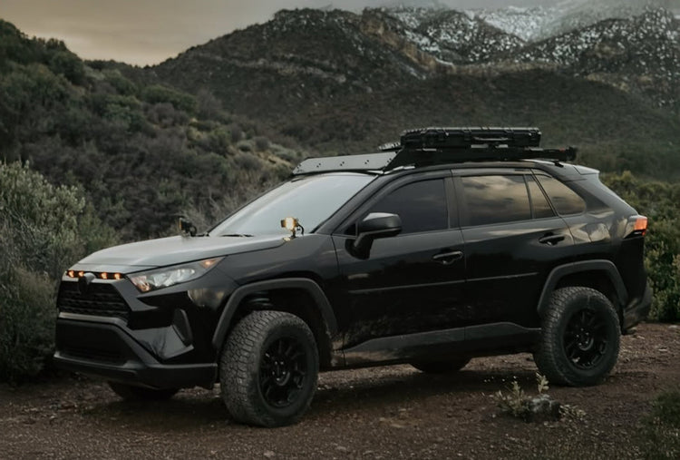 Rav4 5th Gen (2015-2024)