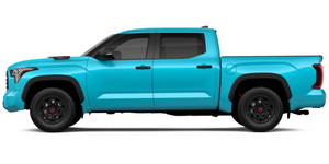 Tundra